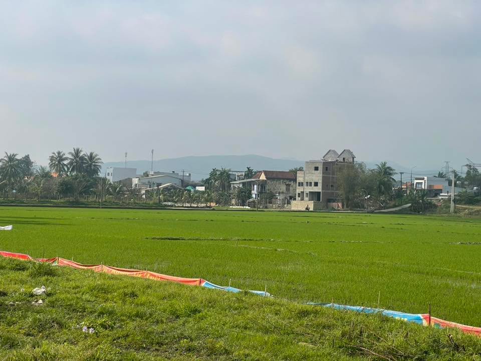 Đất ở Cẩm Toại Trung, Hòa Vang 150m² giá 1.1 tỷ - Đầu tư sinh lời tiềm năng!