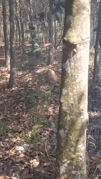 Đất Farm 1 Mẫu Tại Ấp 1, Xã Suối Ngô, Huyện Tân Châu, Tây Ninh - Giá Tốt 1.2 Tỷ!