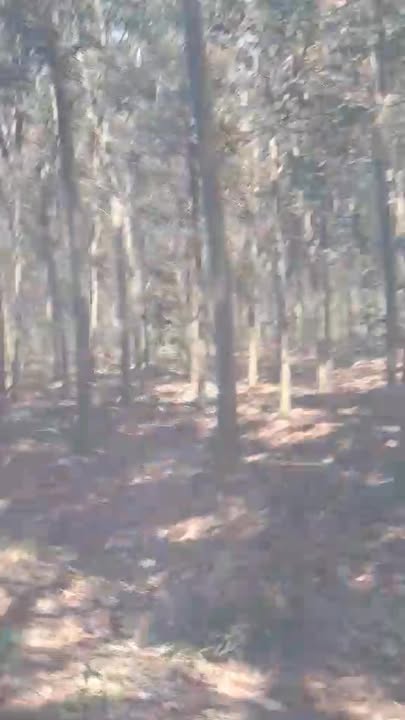 Đất Farm 10.000m² tại Suối Ngô, Tân Châu - Giá 1.2 tỷ, thương lượng!