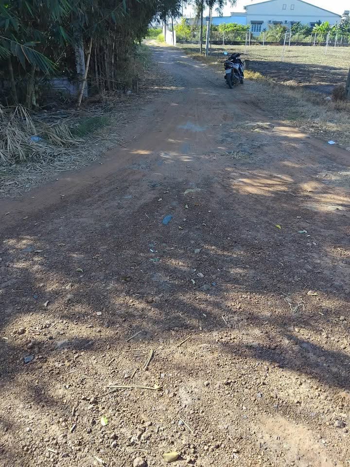 Đất nền Suối Dây, Tân Châu 904m² giá thương lượng - Cơ hội đầu tư hiếm có!