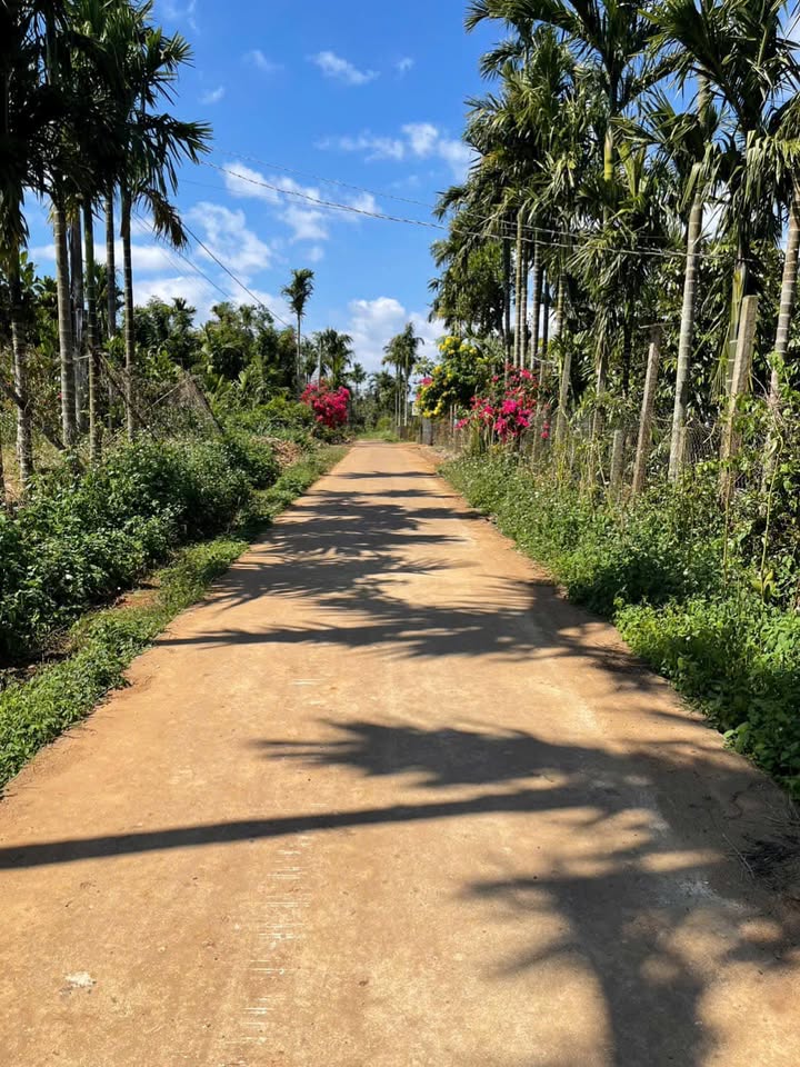 Đất thổ cư Phú Xuân, 576m² giá 51.84 tỷ - Cơ hội đầu tư hấp dẫn!