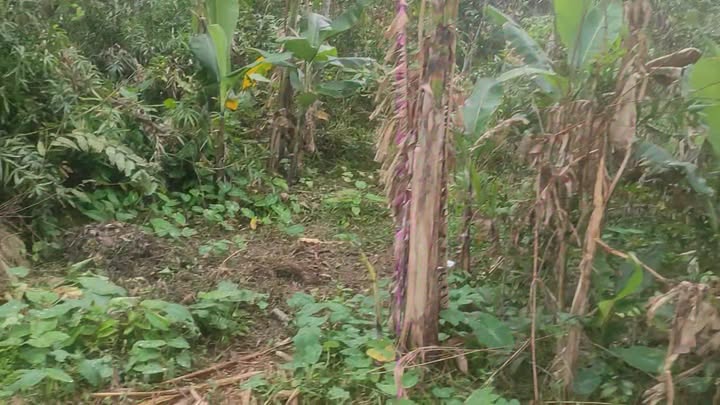 Đất thổ cư 80m² đường Liên Thôn, Nho Quan chỉ 500 triệu - Sổ hồng chính chủ!