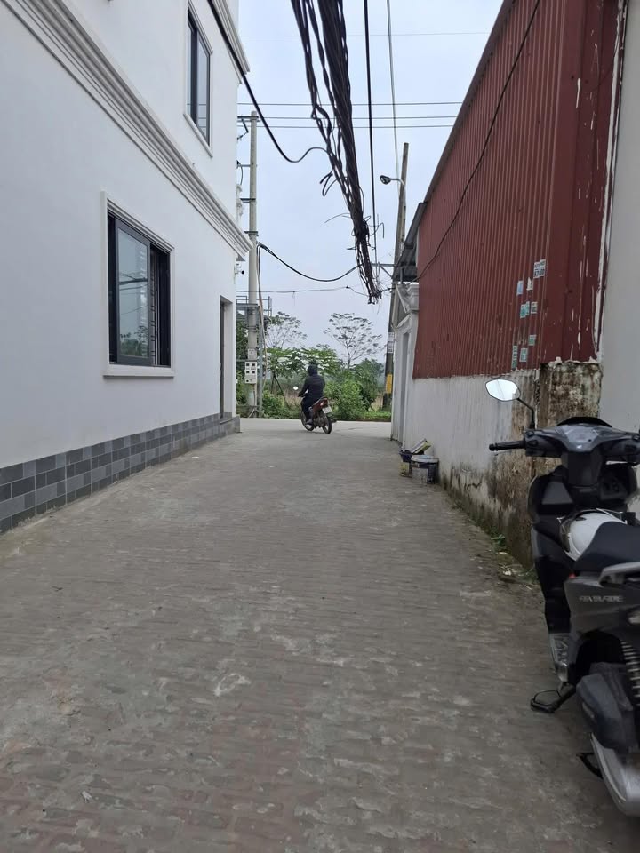 Đất nền xã Nguyễn Trãi, Huyện Thường Tín, 128m² gần dự án Vin - Cơ hội đầu tư sinh lời!