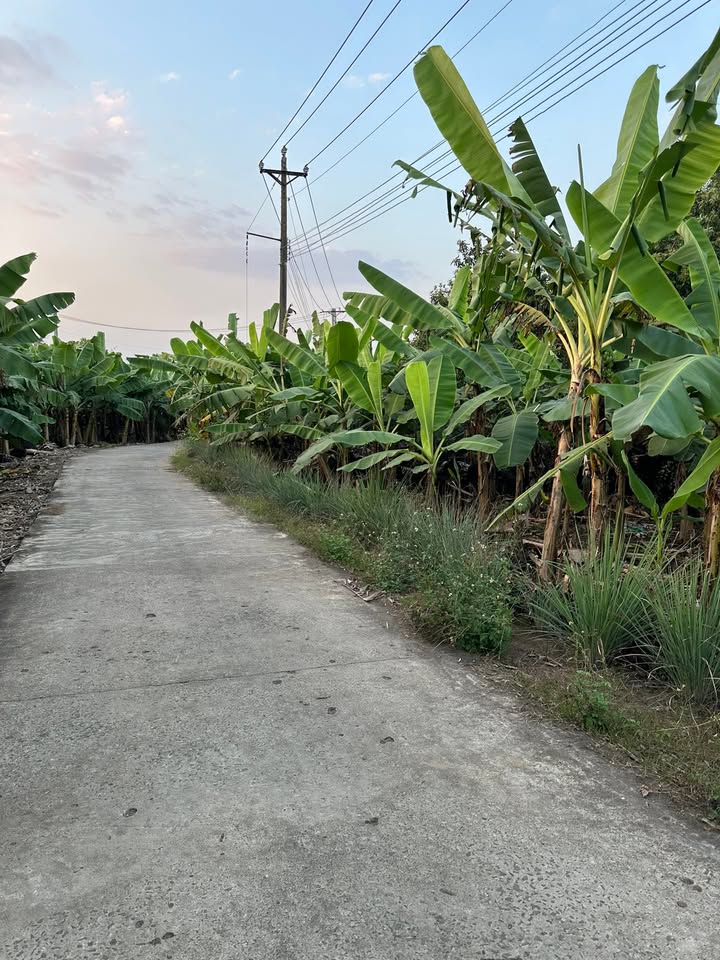 Đất nền 3240m² tại Gia Kiệm, Đồng Nai giá chỉ 3.6 tỷ - Cơ hội đầu tư sinh lời!