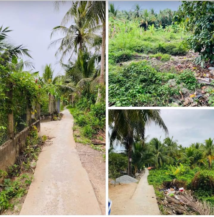 Đất nền Tiên Thủy Châu Thành 500m² giá 360 triệu - Cơ hội đầu tư tuyệt vời!