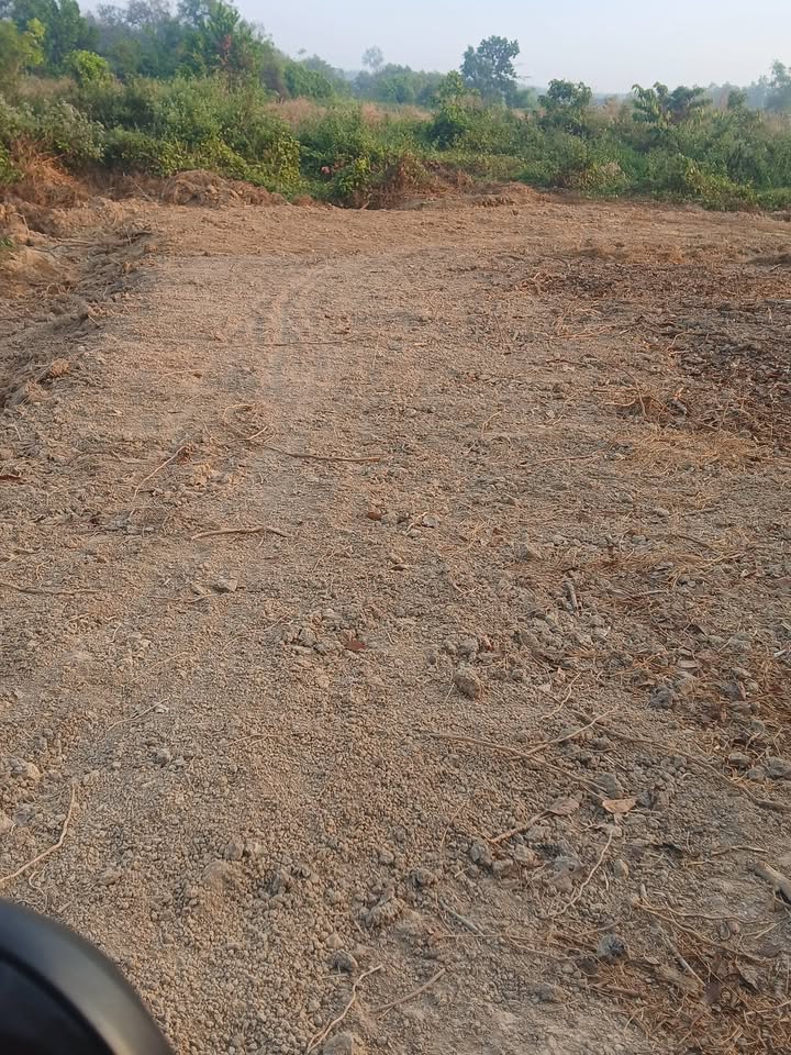 Đất nền ấp Cây Điệp, Tân Phước 400m² giá chỉ 6 tỷ - Cơ hội đầu tư hấp dẫn!