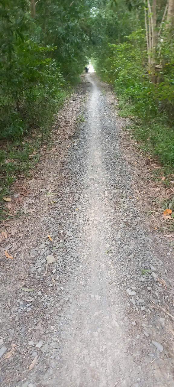 Đất Farm 13 công tại Xã Hưng Thạnh, Huyện Tân Phước, Tiền Giang giá 2.405 tỷ - Chính chủ bán gấp!