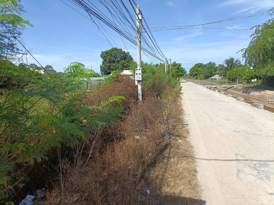 Đất nền tiềm năng tại thôn Long Bình, Ninh Phước, 178m² chỉ 1.3 tỷ - Đầu tư sinh lời ngay!