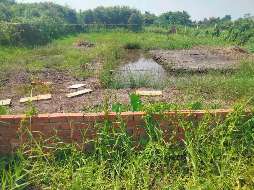 Bán đất vườn ấp 6, xã Bình Mỹ, Huyện Củ Chi, 516m² giá 2.7 tỷ - Đường xe hơi tận nơi!