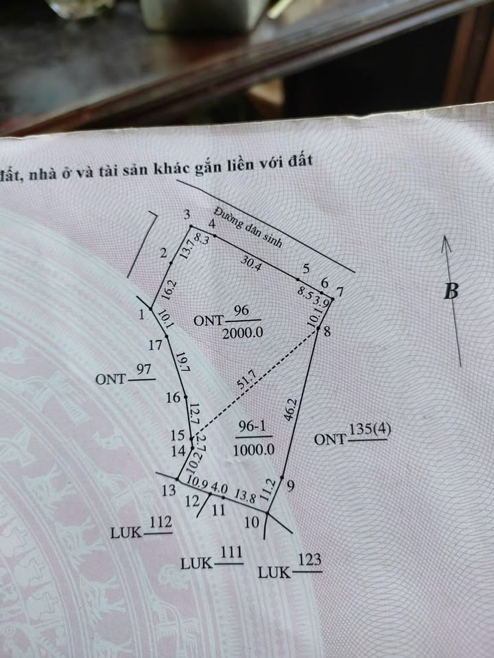 Đất nền chính chủ Xã Điền Hạ, Huyện Bá Thước 3000m² - Giá tốt cho nhà đầu tư!