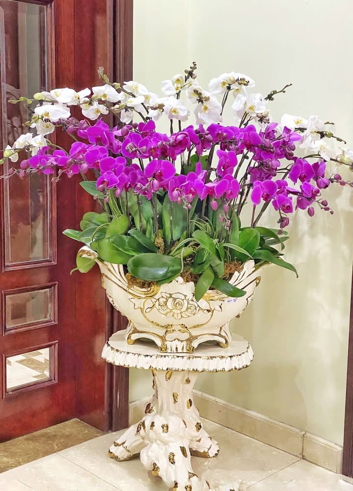 Đất thổ cư 45m² tại trục chính An Thái, Mộc Châu - Giá chỉ 1 tỷ!