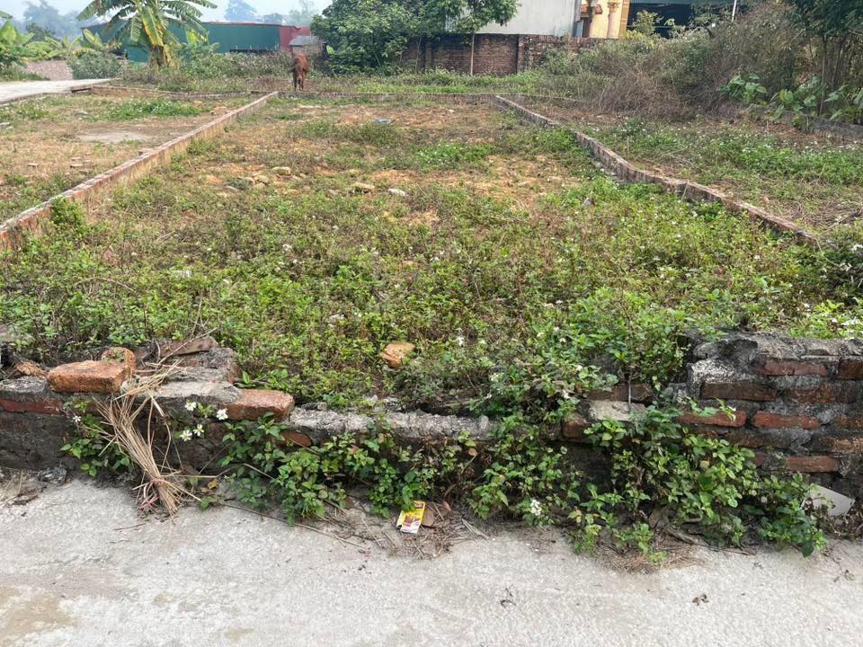 Đất nền 55m² tại Tân Minh, Sóc Sơn giá 1 tỷ - Đầu tư sinh lời ngay!