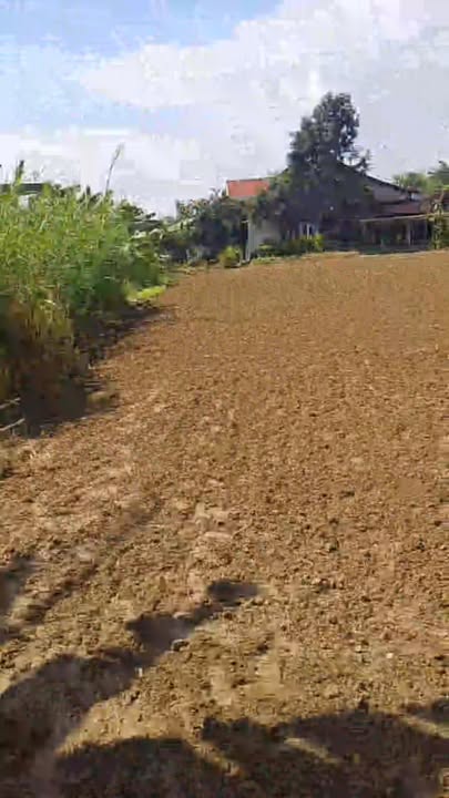 Đất nền Duy Tân, Duy Xuyên 200m² giá 400 triệu - Sổ hồng trao tay, thổ cư 100%!