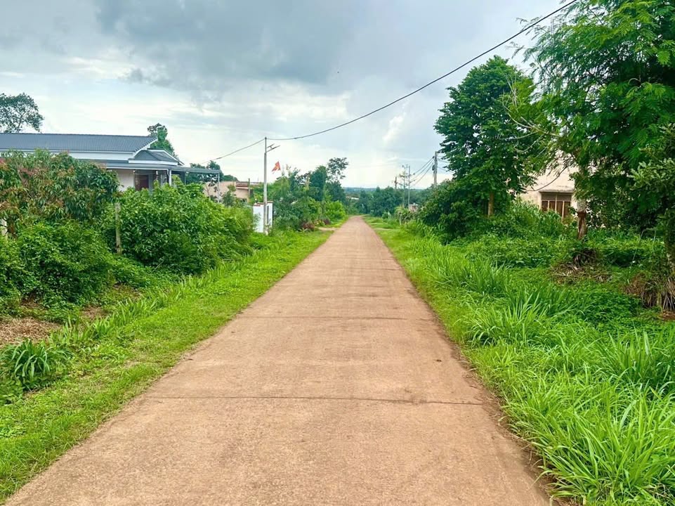 Đất thổ cư 120m² tại Cư Suê giá chỉ 235 triệu - Cần bán gấp!