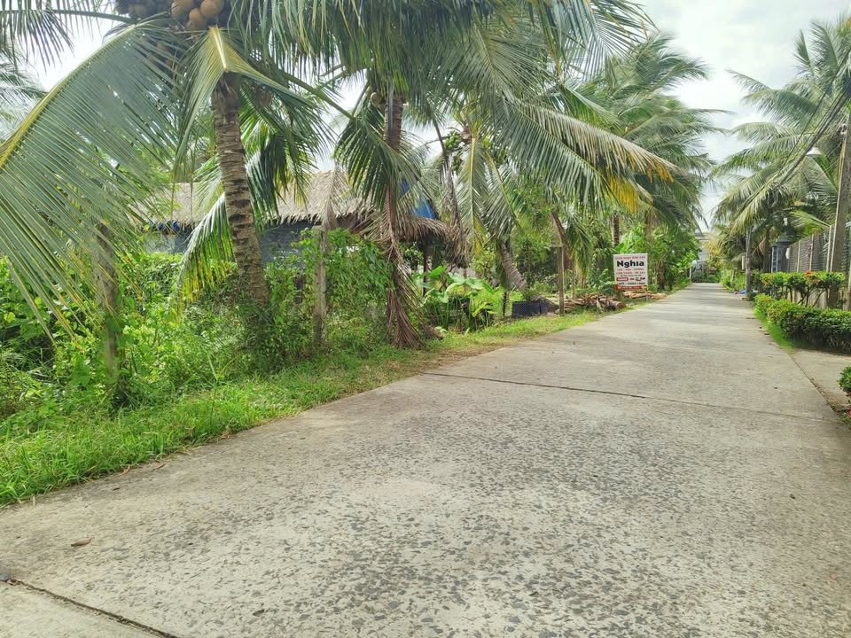 Đất nền Tường Đa, Châu Thành, Bến Tre 106,5m² giá 595 triệu - Sổ đỏ chính chủ