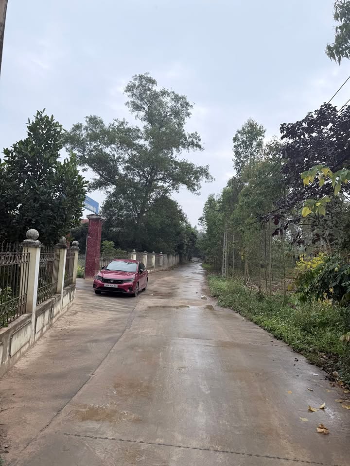 Đất thổ cư 1000m² tại Yên Thế - Giá chỉ 700 triệu - Cơ hội đầu tư hấp dẫn!