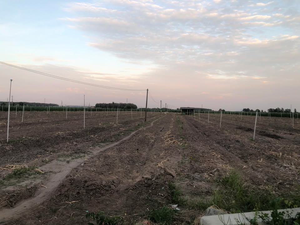 Đất Farm 18.000m² tại Suối Đá Dương Minh Châu giá 7.2 tỷ - Nằm gần đường nhựa, tiềm năng phát triển cao!