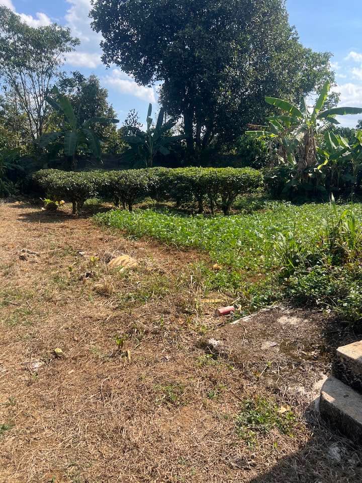 Đất nền 200m² Hẻm ô tô Trương Định, Bảo Lâm - Giá chỉ 1 tỷ, thương lượng!