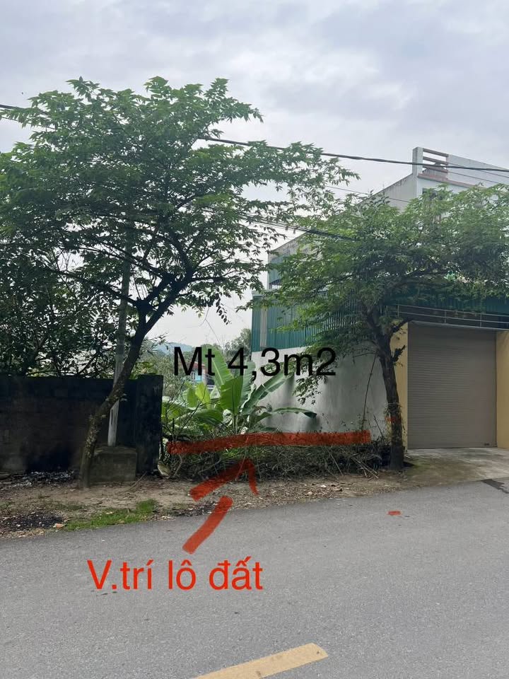 Đất thổ cư 81m² tại Thị trấn Hà Trung, Thanh Hóa - Cơ hội sở hữu hiếm có!