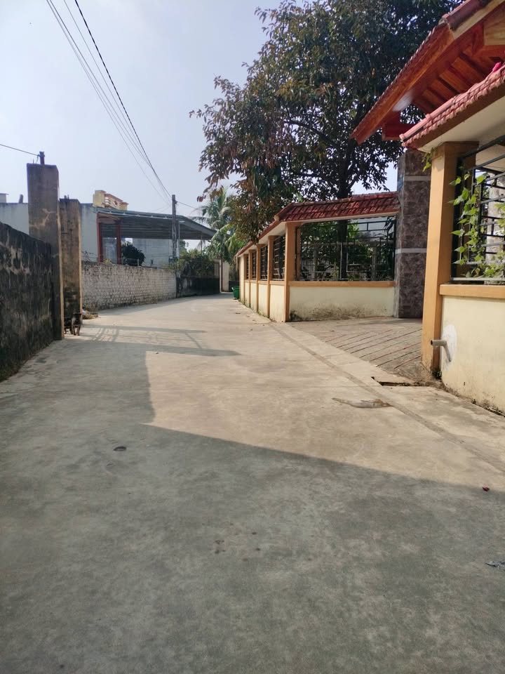 Đất thổ cư tại Đồng Tiến, Triệu Sơn 95m² giá chỉ 300 triệu - Đầu tư sinh lời ngay!