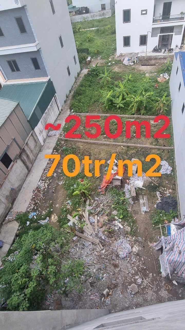 Đất nền Phường Quang Trung, Quận Hà Đông 240m² giá thỏa thuận - Cơ hội đầu tư sinh lời!