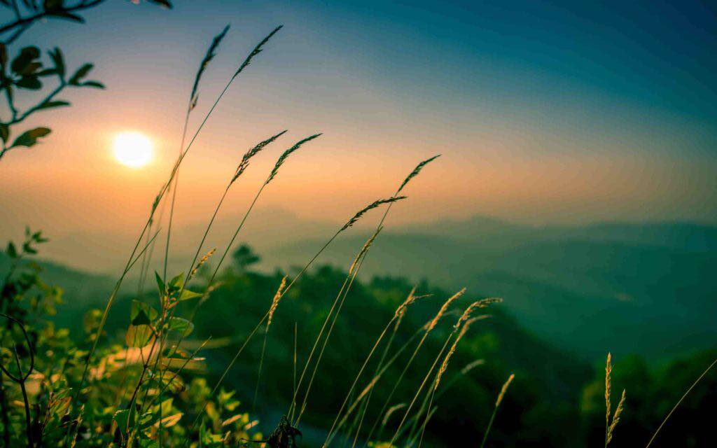 Đất mặt Quốc lộ 32 Phú Thịnh 60m² giá 3 tỷ - Kinh doanh đỉnh cao!