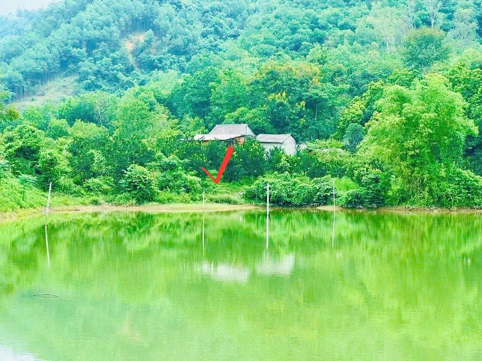 Lô đất tại Đú Sáng, Kim Bôi, Hòa Bình 1.600m² - View đẹp, sổ đỏ chính chủ!