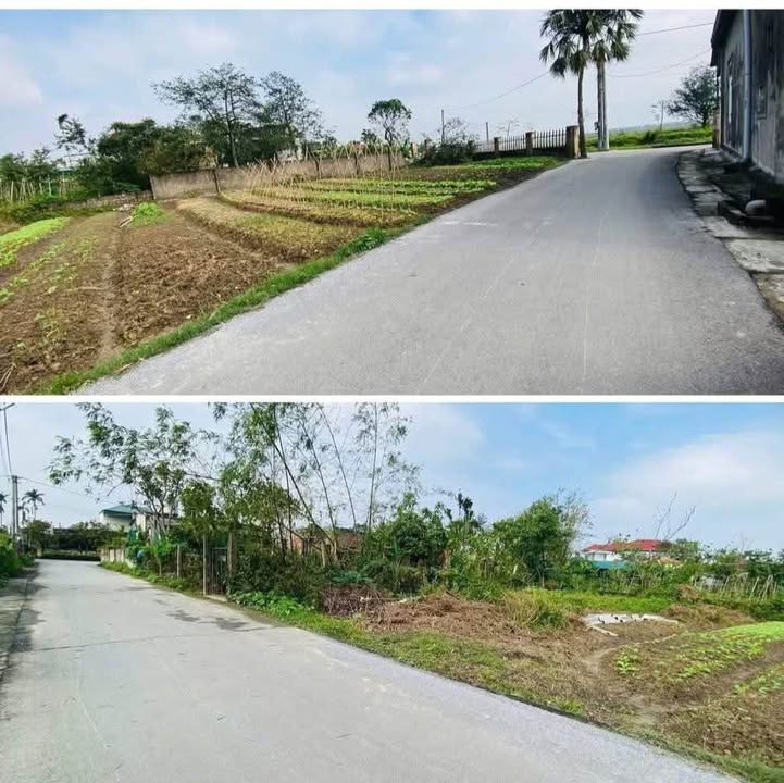 Đất thổ cư Thạch Hạ 130m² giá 1 tỷ - Cơ hội đầu tư sinh lời!