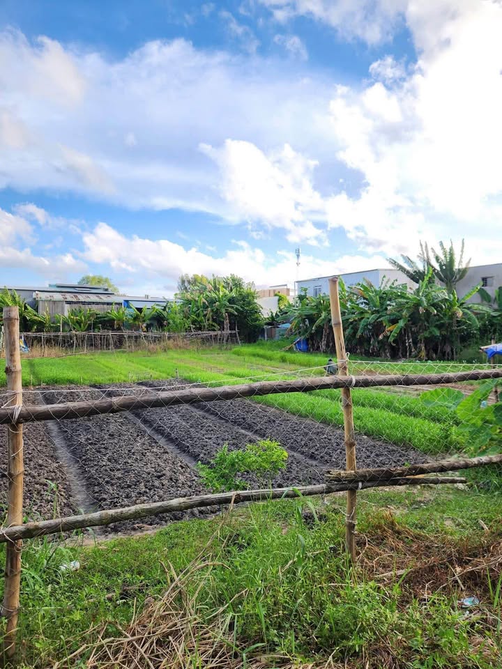 Đất nền mặt tiền kênh Rọc Lá, Vĩnh Lợi 678.6m² giá 2.26 tỷ - Cơ hội đầu tư tốt!