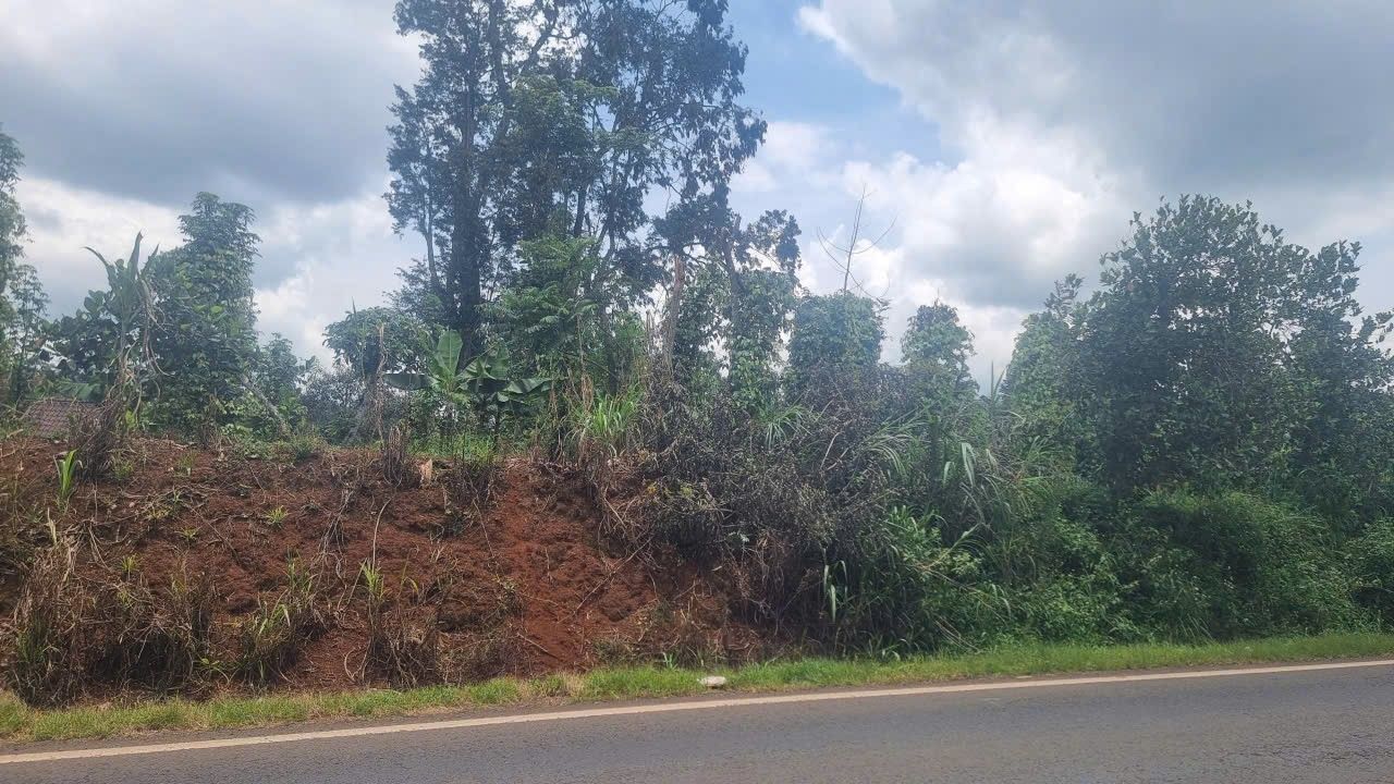 Đất mặt tiền đường Tránh Tây, xã Pơng Drang, 3.857,5m² - Giá tốt đầu tư!