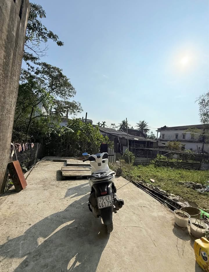 Đất nền Phường Vỹ Dạ, Huế 80.3m² giá 1.3 tỷ - Đầu tư sinh lời ngay!