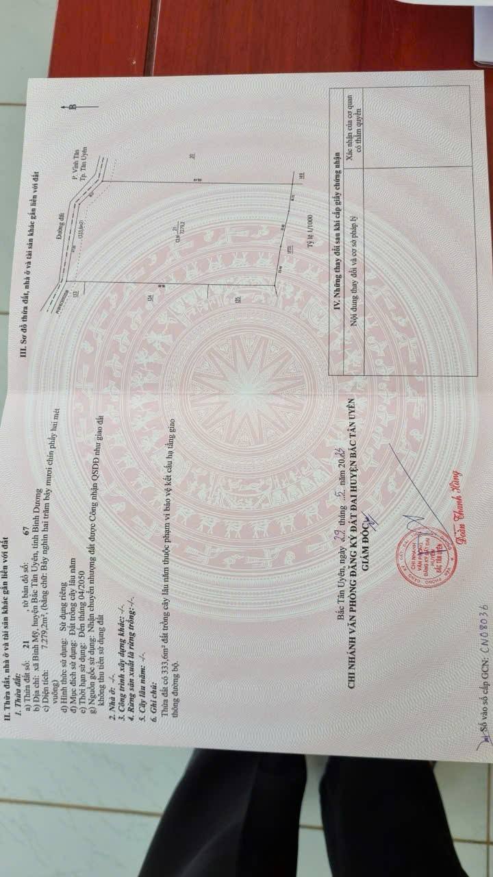 Đất nền 7279m² tại xã Bình Mỹ, huyện Củ Chi - Giá chỉ 18 tỷ, đầu tư sinh lời!