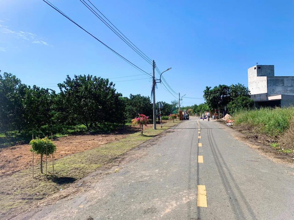 🍊 CHỦ NGỘP BÁN GẤP – ĐẤT THỔ CƯ VƯỜN BƯỞI TP HỒ CHÍ MINH, 250m2 CHỈ TỪ 250TR