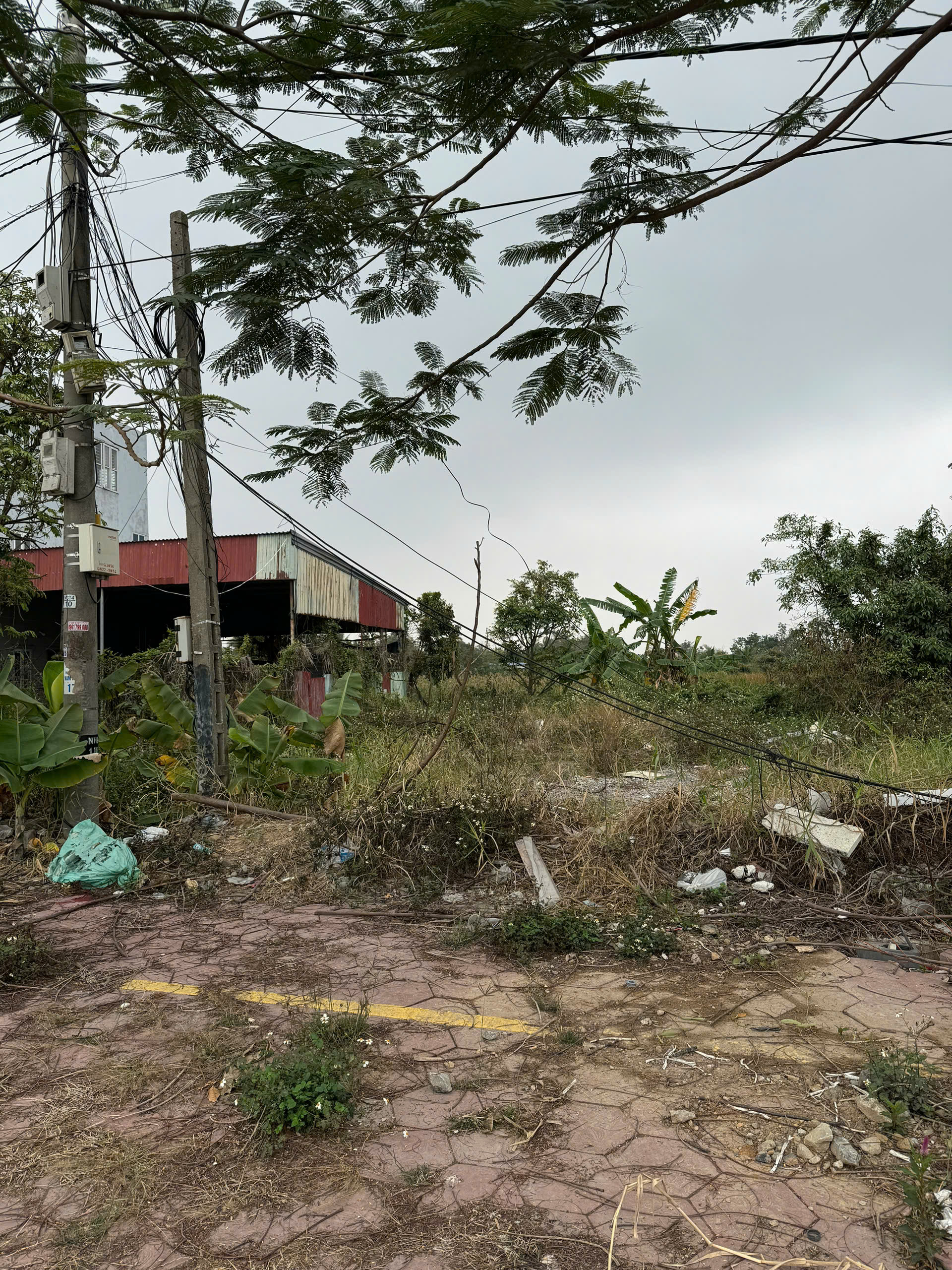 Bán đất nền mặt đường Ngô Gia Tự - Ngay tại cửa sân bay Cát Bi