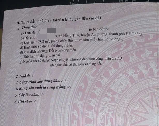 Bán đất gốc dân tiềm năng sinh lời tại Hồng Thái, An Dương, Hải Phòng - Cơ hội đầu tư hiếm có!