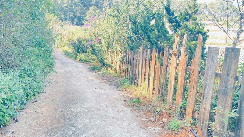 Đất nền Vạn Thành Đà Lạt 130m² giá chỉ 550 triệu - Cơ hội đầu tư tuyệt vời!