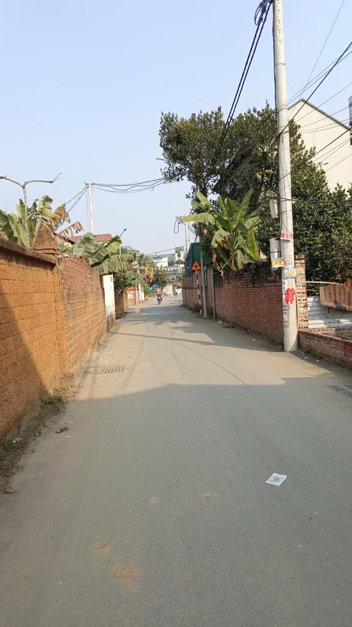 Lô đất Tân Xã Hoà Lạc 98,5m² giá chỉ 4 tỷ - Cơ hội đầu tư tuyệt vời!