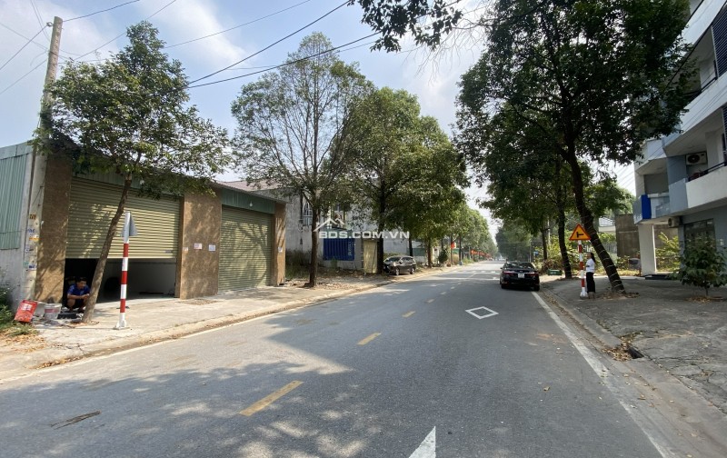 Cho thuê nhà nguyên căn mặt tiền 5x22m KDC Phú Chánh C, Thủ Dầu Một - Giá chỉ 7 triệu!