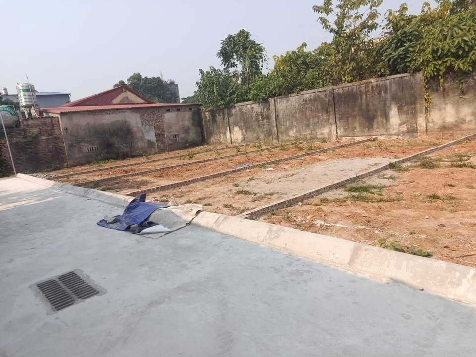 Đất nền Ngõ Cộc, Nguyễn Văn Linh 60m² giá 800 triệu - Ô tô vào tận đất!