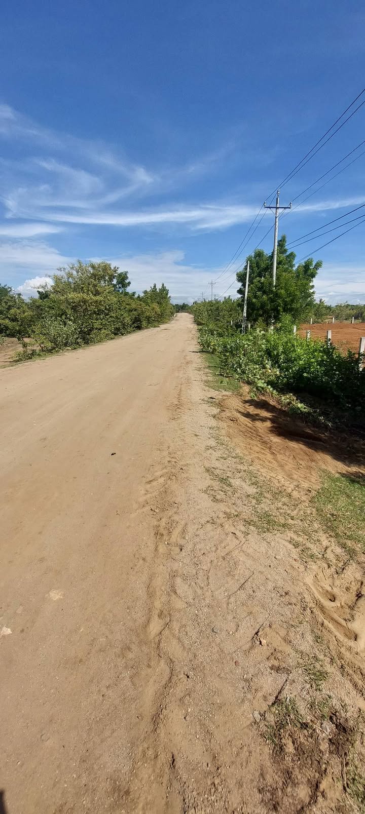 Đất nền mặt đường Tỉnh lộ 708, Ninh Sơn, Ninh Thuận 7626m² - Đầu tư tiềm năng!