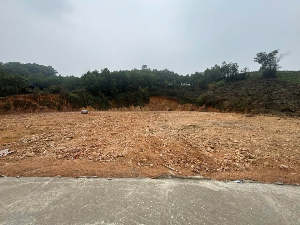 Đất nền 340m² tại tổ dân phố Văn Hữu, Định Hóa, giá 800 triệu - Đầu tư sinh lời cao!