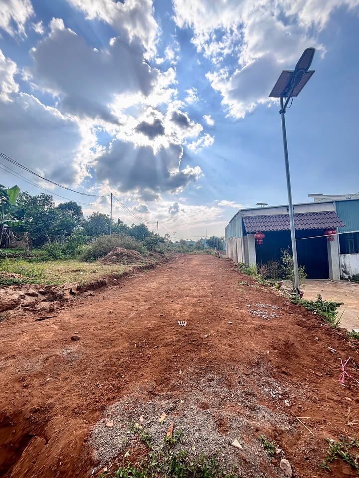 Đất nền Phường Diên Hồng, 130m² giá 650 triệu - Cơ hội đầu tư hiếm có!