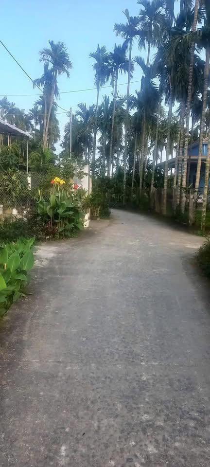 Đất nền 530m² tại Nghĩa Trung, Huyện Tư Nghĩa giá chỉ 200 triệu - Cơ hội đầu tư hấp dẫn!