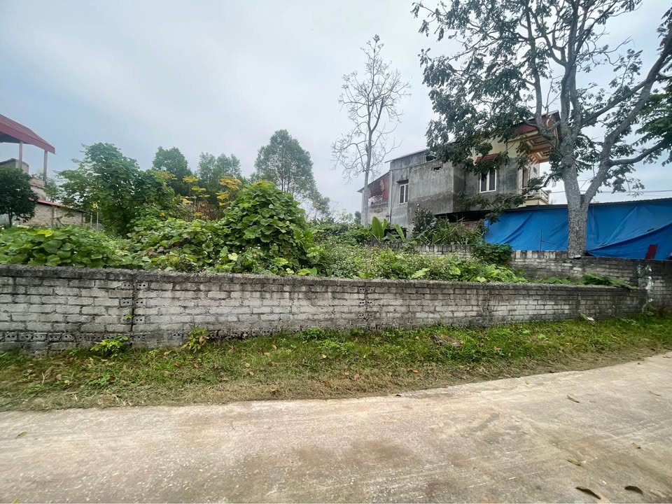 Đất nền thôn An Dương, Tân Yên, Bắc Giang 386m² giá chỉ 600 triệu - Cơ hội đầu tư hấp dẫn!