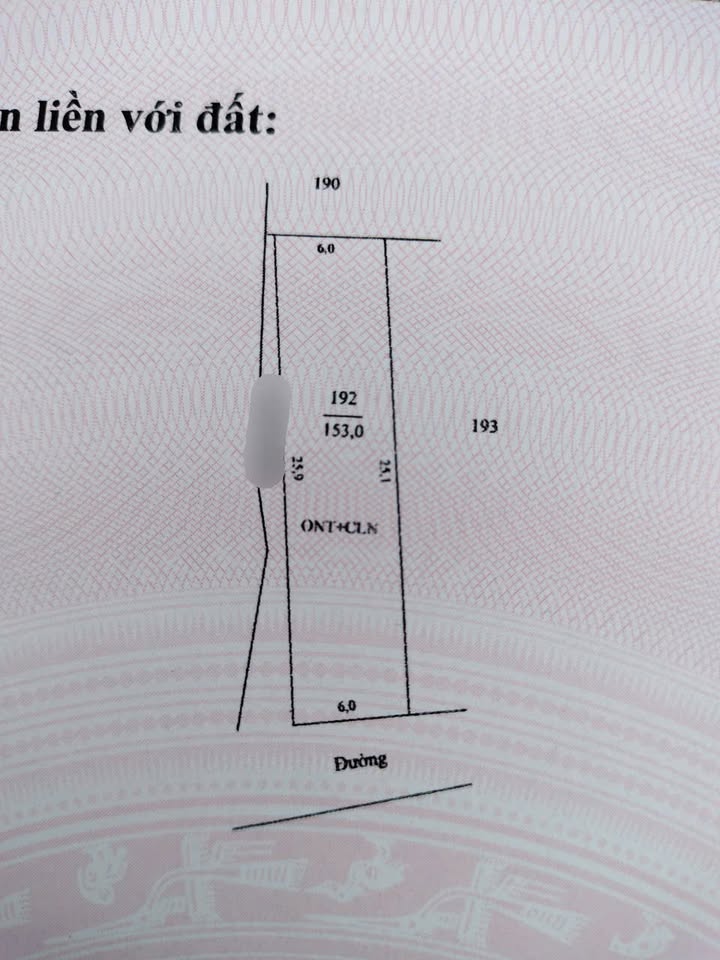 Lô đất 2 mặt tiền tại Xã Hải Anh, 153m² giá 780 triệu - Đầu tư lý tưởng!