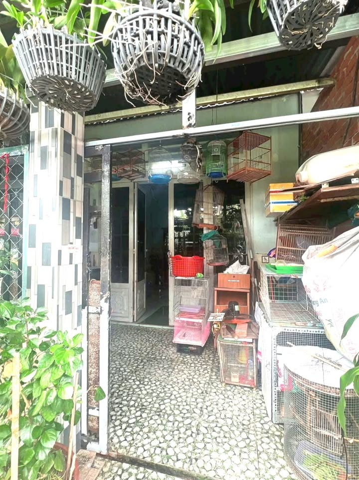 Nhà cấp 4 Xã Bà Điểm 64m² giá 1.45 tỷ - Gần chợ và trường học!