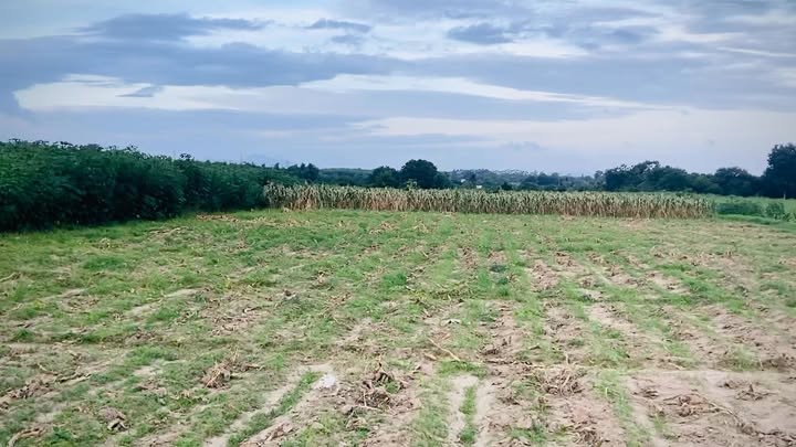 Đất nền 5000m² tại Lê Duẫn, Cam Ranh - Giá tốt, view biển đẹp!