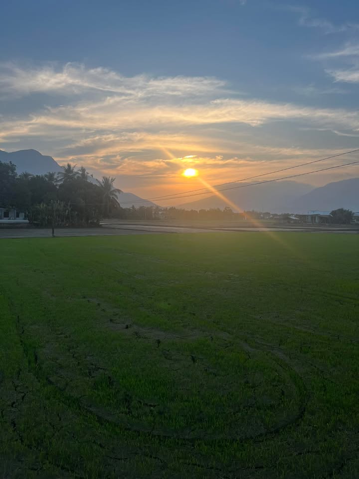 Lô đất đẹp 850m² tại Cam Phước Đông, giá chỉ 150 triệu - Cơ hội đầu tư hấp dẫn!