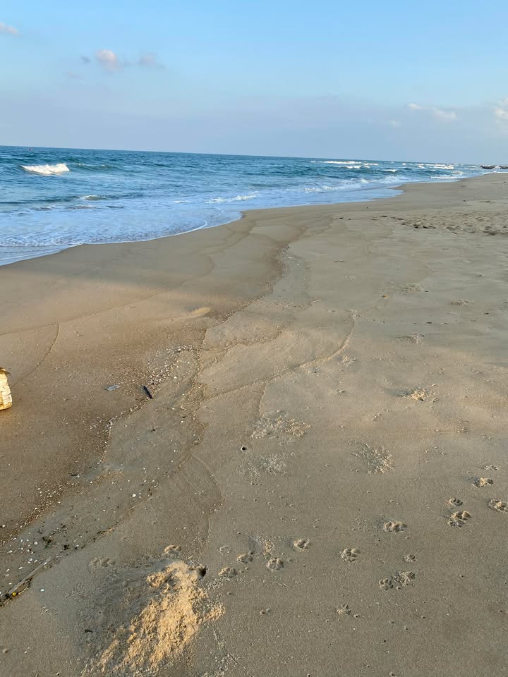 Đất nền biển Đà Nẵng 1200m² giá 4.2 tỷ - Cơ hội đầu tư tuyệt vời!