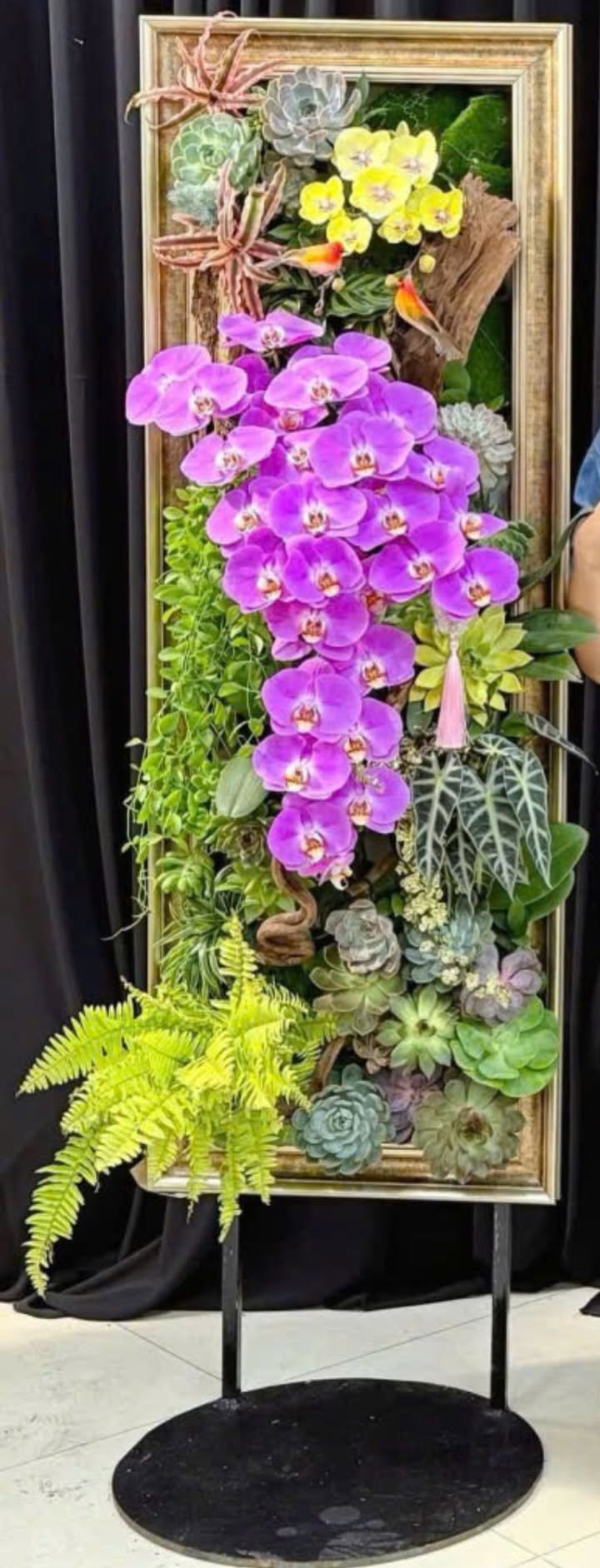 Đất nền 1000m² tại Phường Quảng Phú - Giá thỏa thuận, ô tô vào tận nơi!